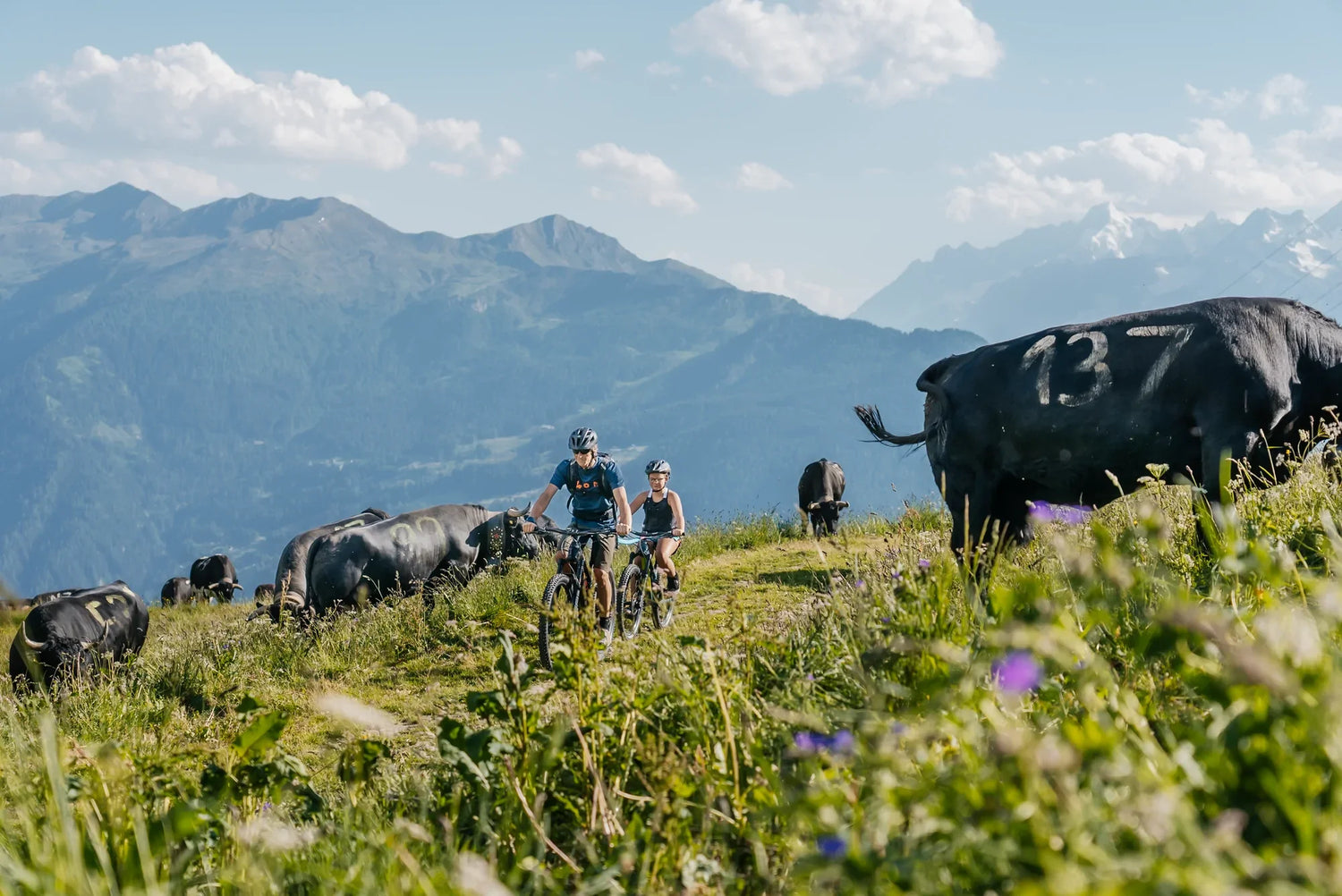 Location vélo électrique Verbier : explorez la montagne avec Backside Verbier