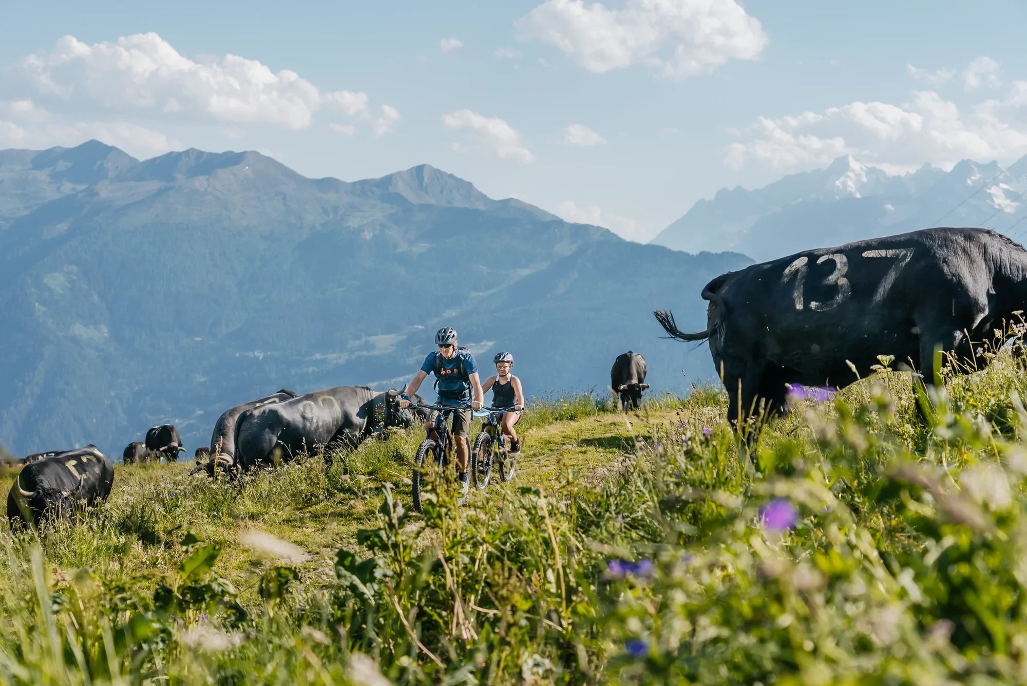 Location vélo électrique Verbier : explorez la montagne avec Backside Verbier
