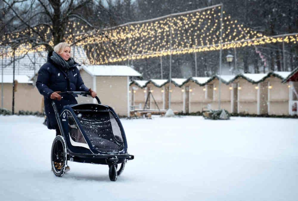 HAMAX - Breeze ONE Bike Trailer - Ultimate Child Comfort 🚴♂️✨